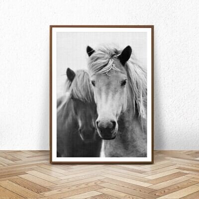 Alternative view of Calul, Tablou de Perete cu Fotografie, Alb Negru, Animale Padure