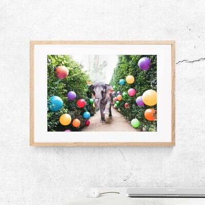 Alternative view of Elefant Party, Tablou Arta Foto