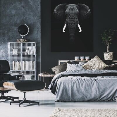 Alternative view of Tablou Negru - Panza Canvas Black Elephant 50x70cm