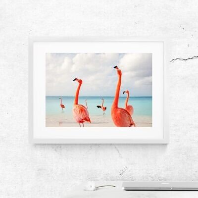 Alternative view of Flamingo, Roz, Tablou Arta Foto