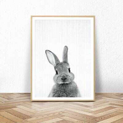 Tablou Perete cu Fotografie Iepuras, Alb Negru, Animale de Casa