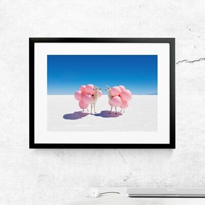 Lame Roz, Tablou Arta Foto