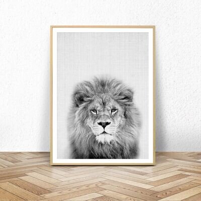 Leul, Tablou Perete cu Fotografie, Alb Negru, Animale Safari