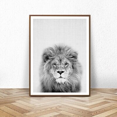 Alternative view of Leul, Tablou Perete cu Fotografie, Alb Negru, Animale Safari