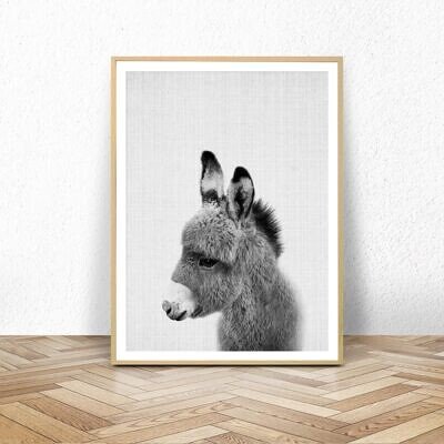 Magarusul, Tablou de Perete cu Fotografie, Alb Negru, Animale Domestice