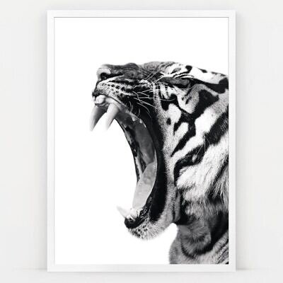 Alternative view of Tiger Three, Tablou de Perete cu Fotografie