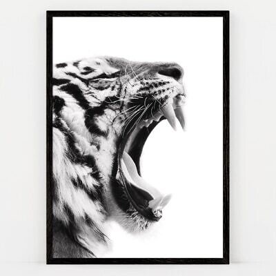 Tiger One, Tablou de Perete cu Fotografie