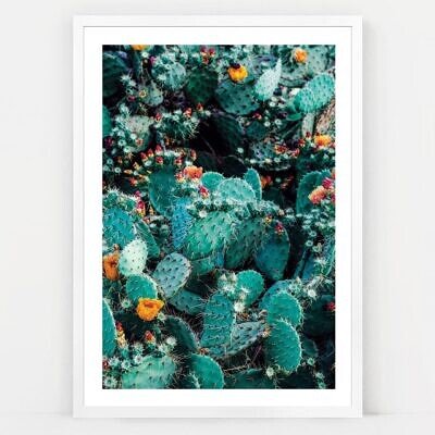 Alternative view of Cactus Dream, Tablou de Perete cu Fotografie