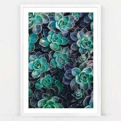 Alternative view of Succulent Dream, Tablou de Perete cu Fotografie