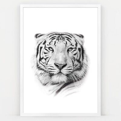 Alternative view of Tiger Two, Tablou de Perete cu Fotografie