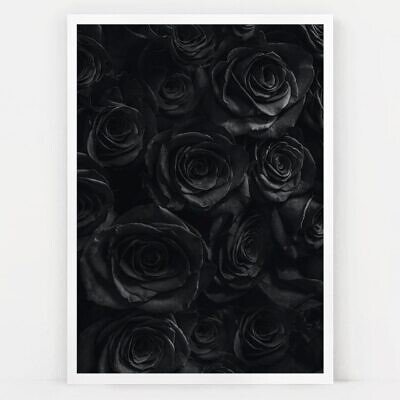 Alternative view of Black Roses, Tablou de Perete cu Fotografie