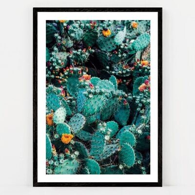Cactus Dream, Tablou de Perete cu Fotografie