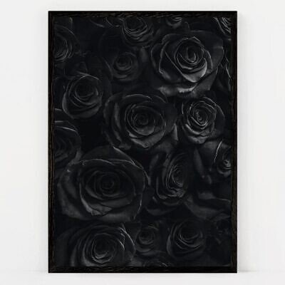 Black Roses, Tablou de Perete cu Fotografie