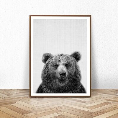 Alternative view of Ursul, Tablou de Perete cu Fotografie, Alb Negru, Animale Padure