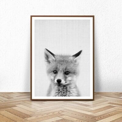 Alternative view of Vulpea, Tablou de Perete cu Fotografie, Alb Negru, Animale Din Padure