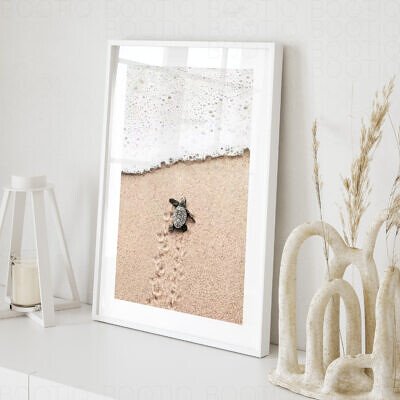 Tablou Little Turtle on the beach