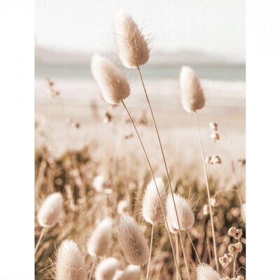 Alternative view of Tablou Iarba pe Plaja